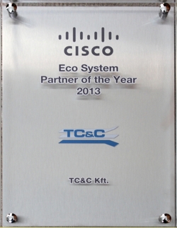 Eco System Partner of the Year 2013